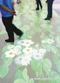 interactive floor projection 2