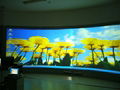 rollable black rear projection screen