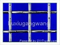 crimped wire mesh