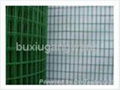 pvc coated wire mesh  1