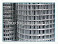 Dutch wire mesh 2