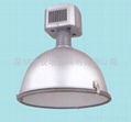 Metal halied   ceiling pendant lamp 5