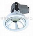 LED Recessed Down Lights For HID Lamp 2