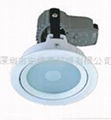 LED Recessed Down Lights For HID Lamp 3