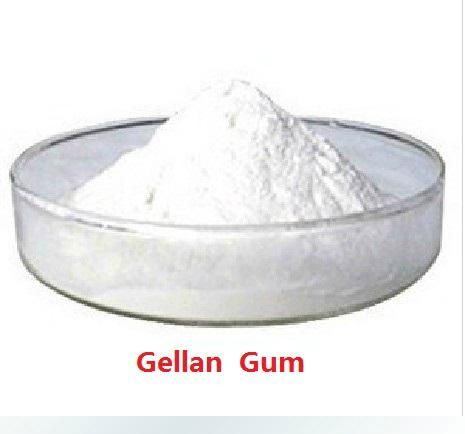 Food Additives Gellan Gum 2