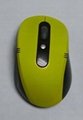 mouse 5