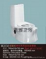squate and sit toilet tow function toilet(one piece toilet)MG066 4