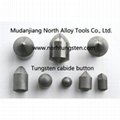 Tungsten carbide button  2
