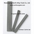 Tungsten Carbide Plates  1