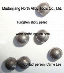 Tungsten shot for hunting or weight
