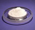 Chondroitin Sulfate  1