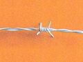 barbed wire 1