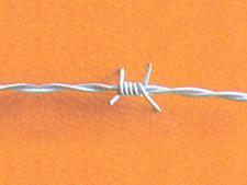 barbed wire