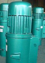 CD1/MD1 electric hoist