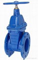 Ductile iron gate valves 1