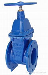 Ductile iron gate valves