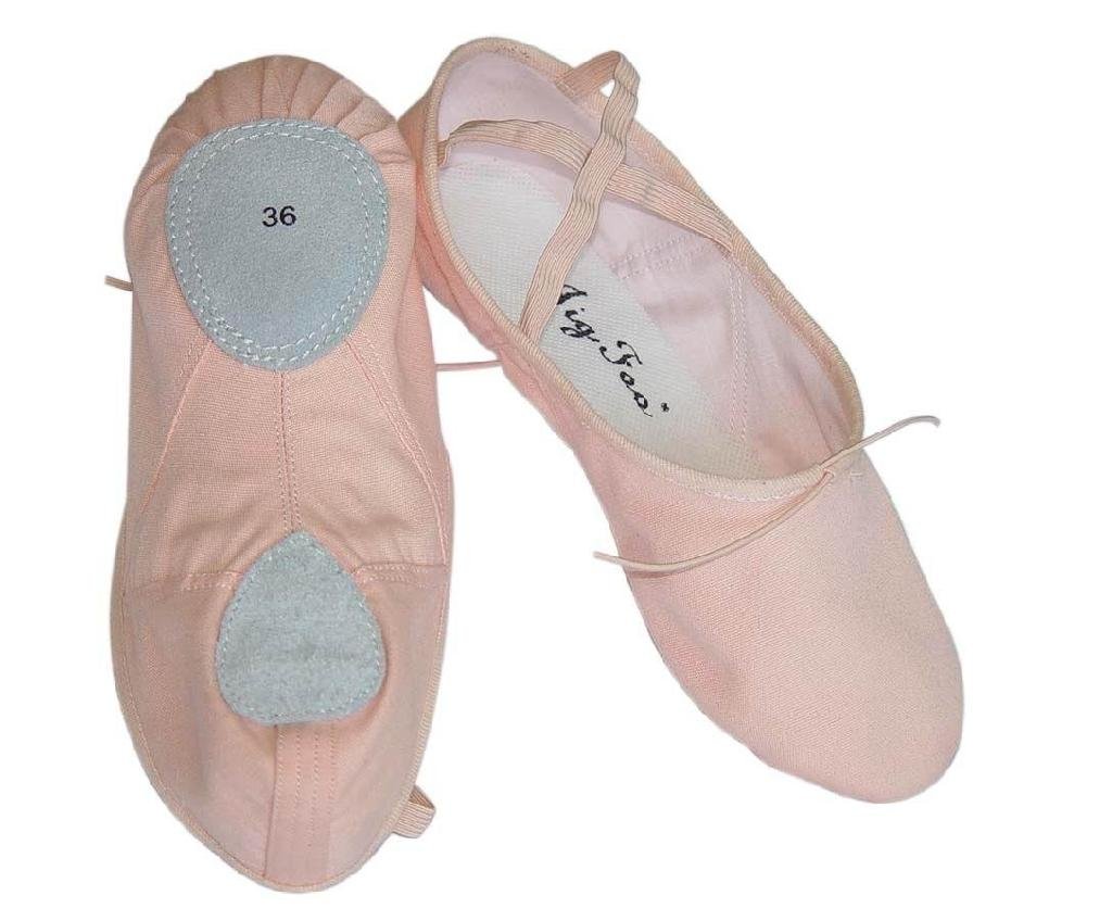 ballet shoes 4