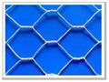 hexagonal wire mesh 1