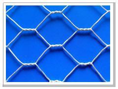 hexagonal wire mesh