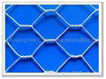 hexagonal wire mesh 2