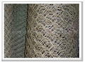 hexagonal wire mesh 4