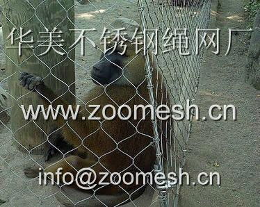 ZOO MESH 3