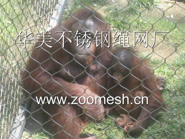 動物園圍網 3