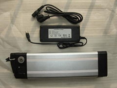 LIFEPO4 battery for e-bike