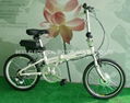 20"E-BIKE