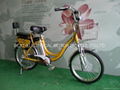 20" E-BIKE 1