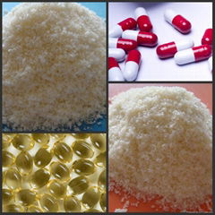 Pharmaceutical Grade Gelatin