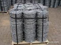 12x14 Galvanized Barbed Wire For Sale 2
