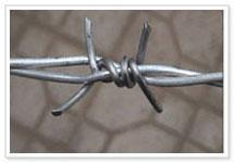 Galvanized Barbed Wire,Concertina Wire