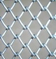 16X16 Mesh Electro Galvanized Square Wire Mesh  2