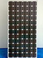 monocrystalline silicon module 1