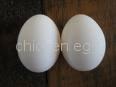 Chicken egg 2