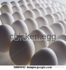 Sell Good quality Chicken eggs