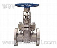 titanium gate valve