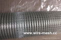 PVC  CAOTED  welded   wire mesh  2