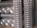 PVC  CAOTED  welded   wire mesh  3