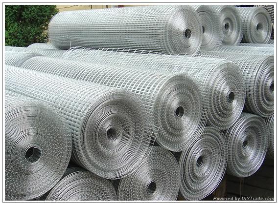 hot-dip  galvanized  welded   wire mesh 