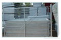 hot-dip  galvanized   wire mesh  fence 3