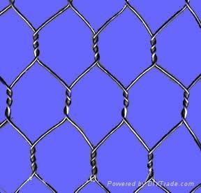 Hexagonal Wire Mesh 3