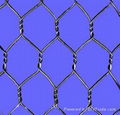 Hexagonal Wire Mesh 3