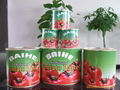 TOMATO PASTE 3