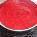 tomato paste