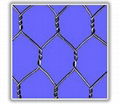 hexagonal mesh 1