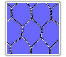 hexagonal mesh