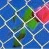 chain link fence 1