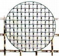 galvanized square wire mesh 2